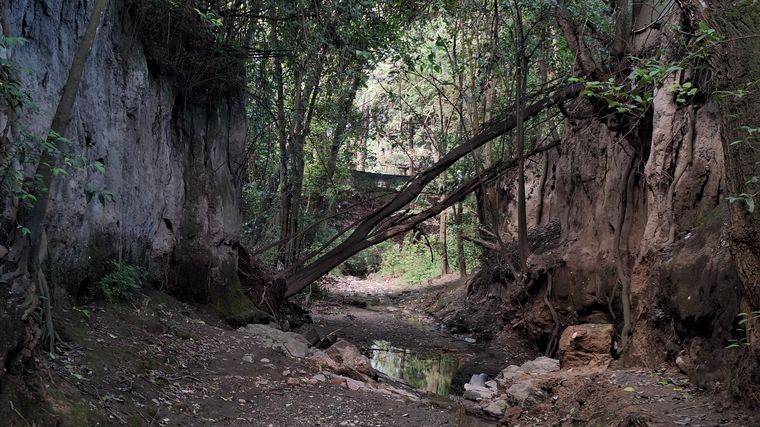 FOTO: Caminatas guiadas por Icho Cruz: otra forma de conocer la provincia de Córdoba