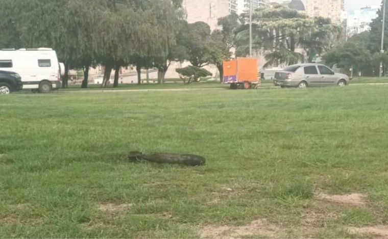 FOTO: El artefacto fue descubierto por un pescador. 