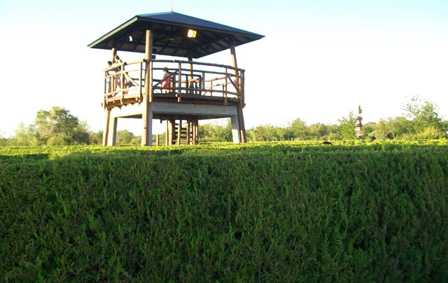 FOTO: El laberinto de Nono, actividades para disfrutar con toda la familia.