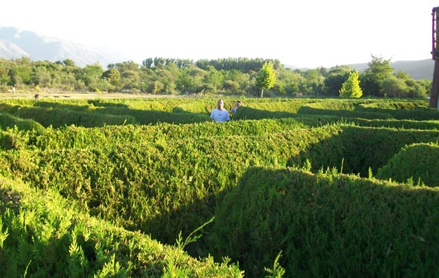 FOTO: El laberinto de Nono, actividades para disfrutar con toda la familia.