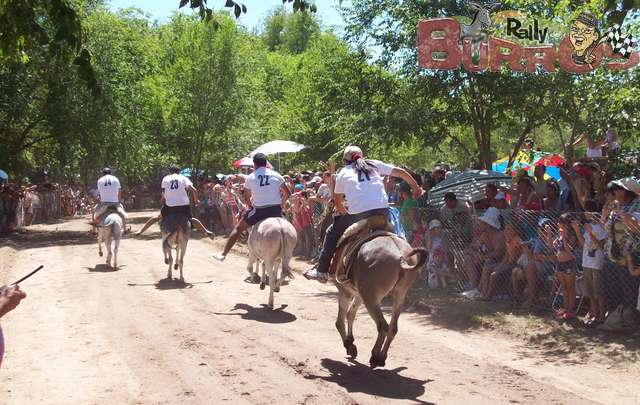 FOTO: 5º Rally de Burros de Mina Clavero