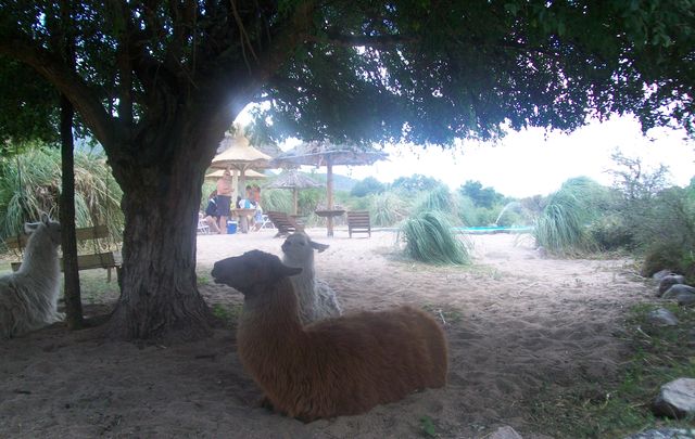 FOTO: Valle Encantado, una delicia de Las Rabonas.