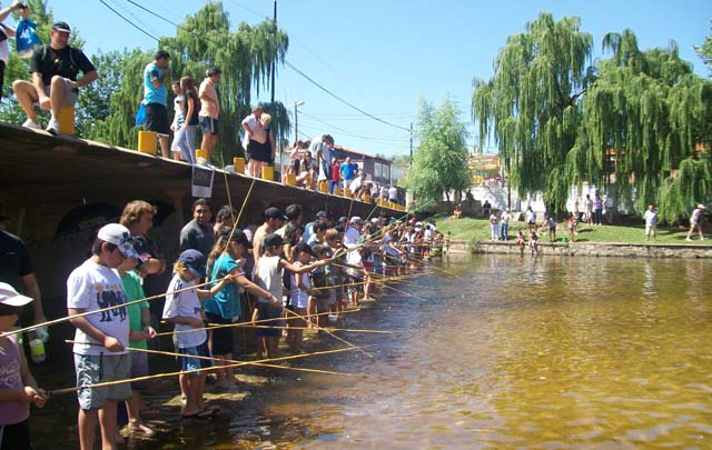 FOTO: Cuarta edición del Torneo de Mojarritas en Mina Clavero