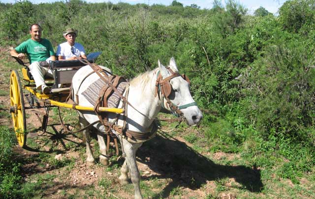 FOTO: Posada Camino Real, una buena opción para el descanso.