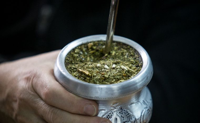 FOTO: El Gobierno avanza en la desregulación de la yerba mate. (Foto: NA)