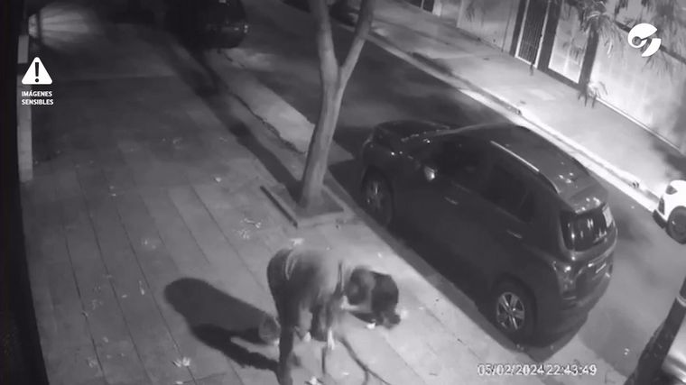 FOTO: Un hombre golpeó salvajemente a su perro y es buscado por la Justicia