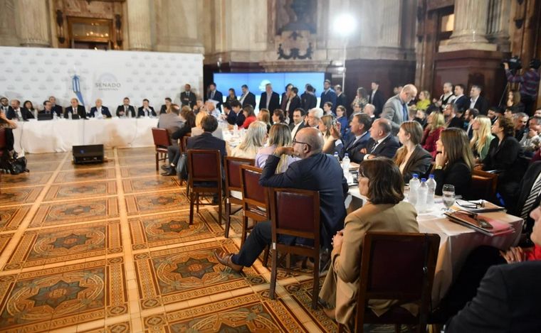 FOTO: Ley Bases y paquete fiscal: el Senado entró en cuarto intermedio hasta el lunes (NA).