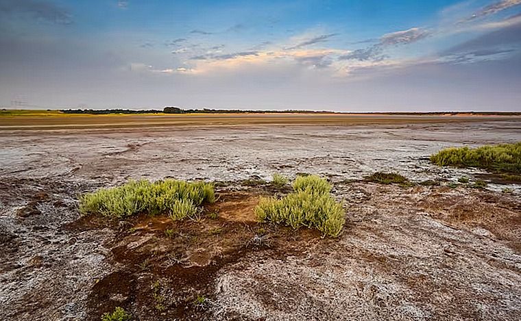 FOTO: La pampa árida, terreno de seducción para las inversiones en Argentina.