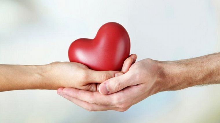 FOTO: Donación de órganos