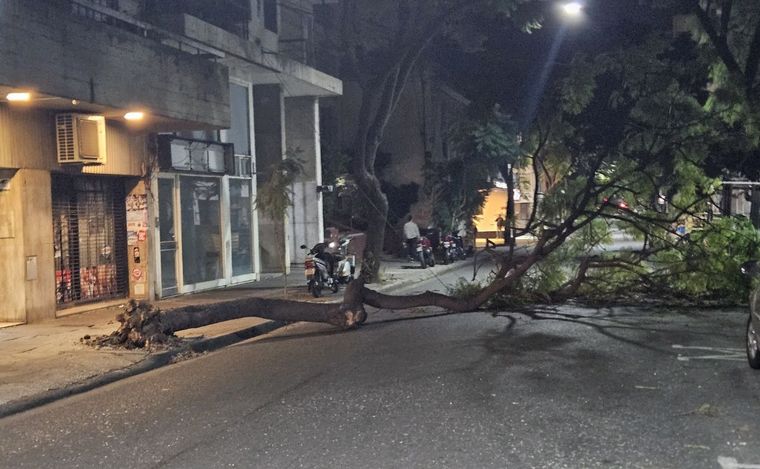 FOTO: Un árbol corta el tránsito en Urquiza entre Corrientes y Paraguay.