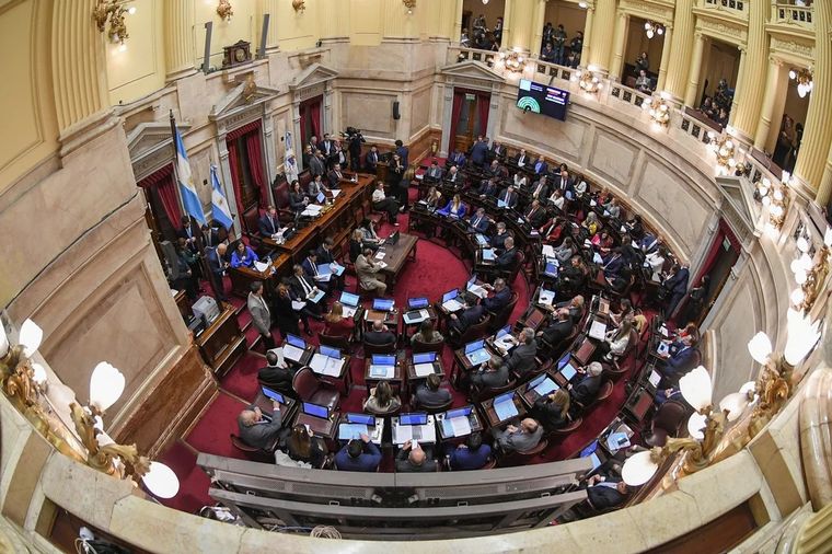 FOTO: El Senado aprobó en general la Ley Bases y la revisará Diputados