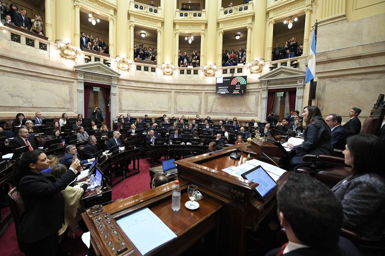 FOTO: El Senado de la Nación aprobó la Ley de Bases en general. (Foto: NA)