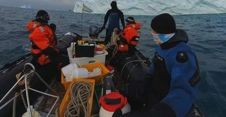 FOTO: Antártida: Dos biólogas trabajan en proyectos de biología marina en Base Carlini