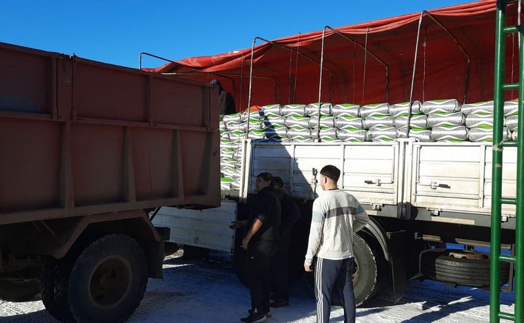 FOTO: El Gobierno de Santa Cruz asiste a productores afectados por la nieve. (Foto: Prensa)