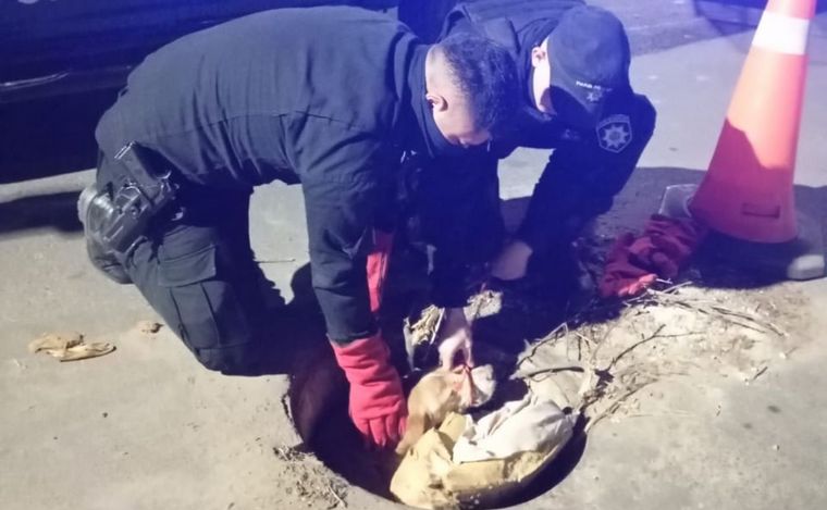 FOTO: Las autoridades respondieron al llamado durante la madrugada del martes. 