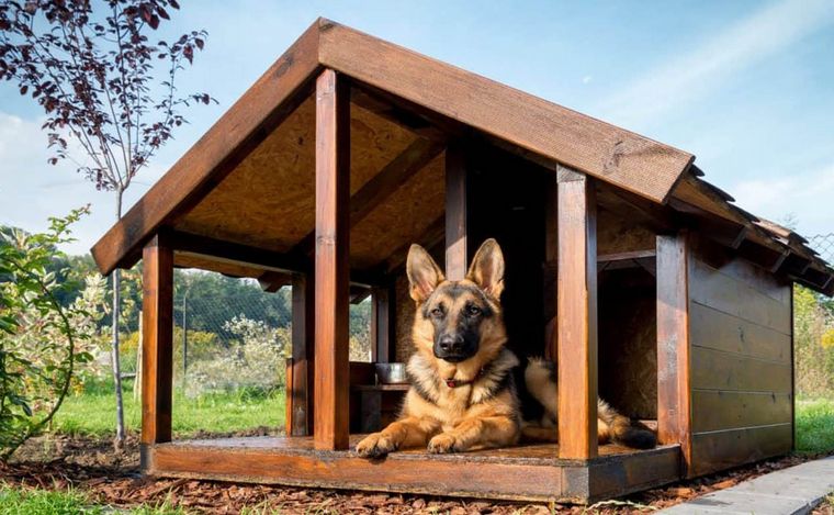 FOTO: Construyen cuchas para perros con material desechado en Deán Funes. (Ilustrativa) 