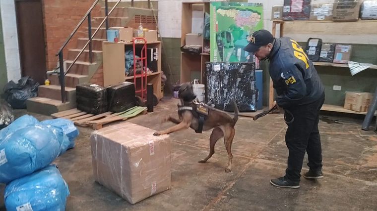 FOTO: Secuestran más de 650 kilos de marihuana que era enviada en encomiendas. (PFA)