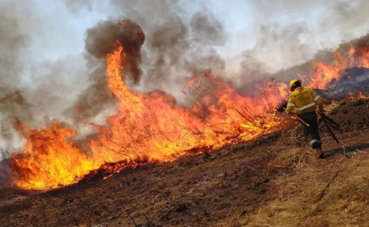 FOTO: Incendios en las islas de Entre Ríos, frente a Rosario: una postal de todos los años.