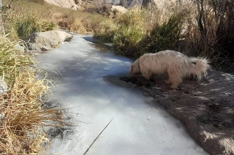 FOTO: Invierno extremo en Salta: por temperaturas de -12° se congelaron ríos y arroyos