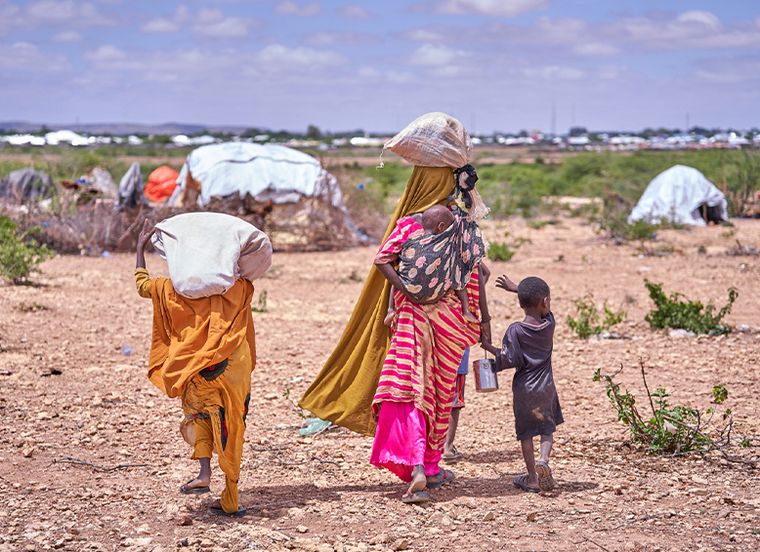 FOTO: Las migraciones, un renovado grama global.