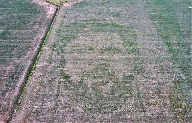 FOTO: Un ingeniero agrónomo siembra la cara de Messi en campos argentinos (FOTO: gentileza)