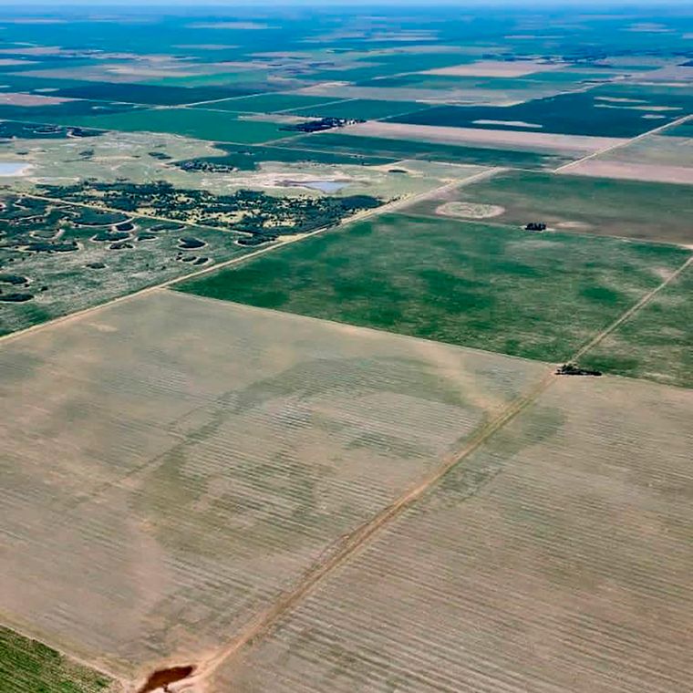 FOTO: Un ingeniero agrónomo siembra la cara de Messi en campos argentinos (FOTO: gentileza)