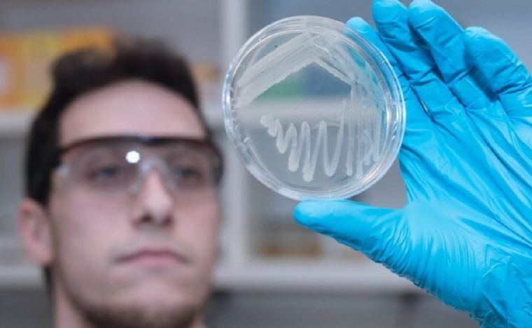 FOTO: Crean un plástico biodegradable con bacterias modificadas genéticamente. (Periferia)