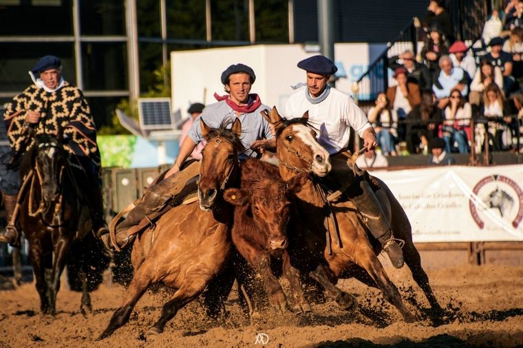 FOTO: Uno de los espectáculos más lindos de la Rural, el aparte campero