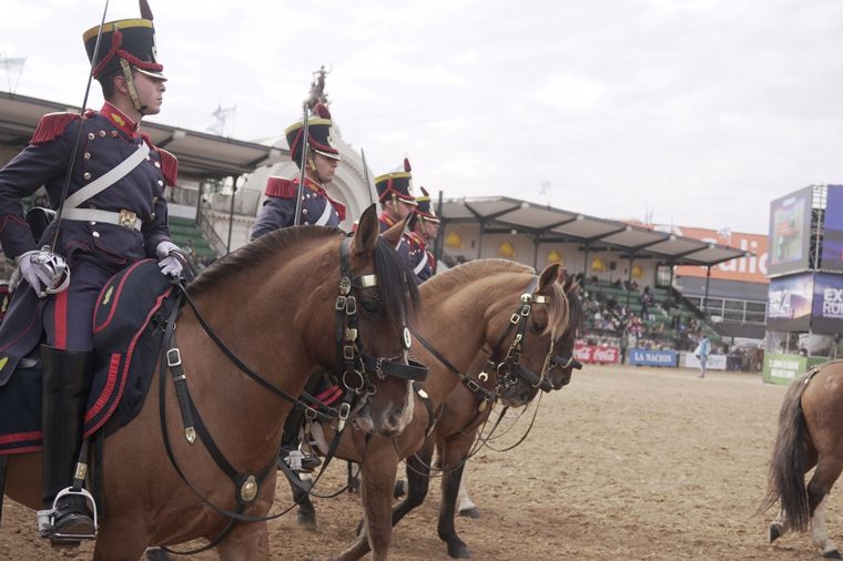 FOTO: Los Granaderos a Caballo lucen orgullosos sus caballos criollos