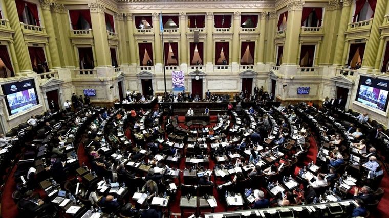 FOTO: ¡Cuidado Milei! El Congreso está en llamas