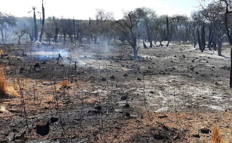 FOTO: El incendio en Estancia La Paz se encuentra contenido.