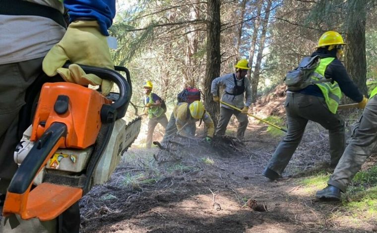 FOTO: Brigadistas mapuches destacan en Neuquén por su cuidado del medio ambiente.