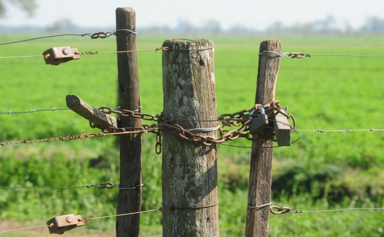 FOTO: La plataforma será para acelerar los procesos de denuncia. 