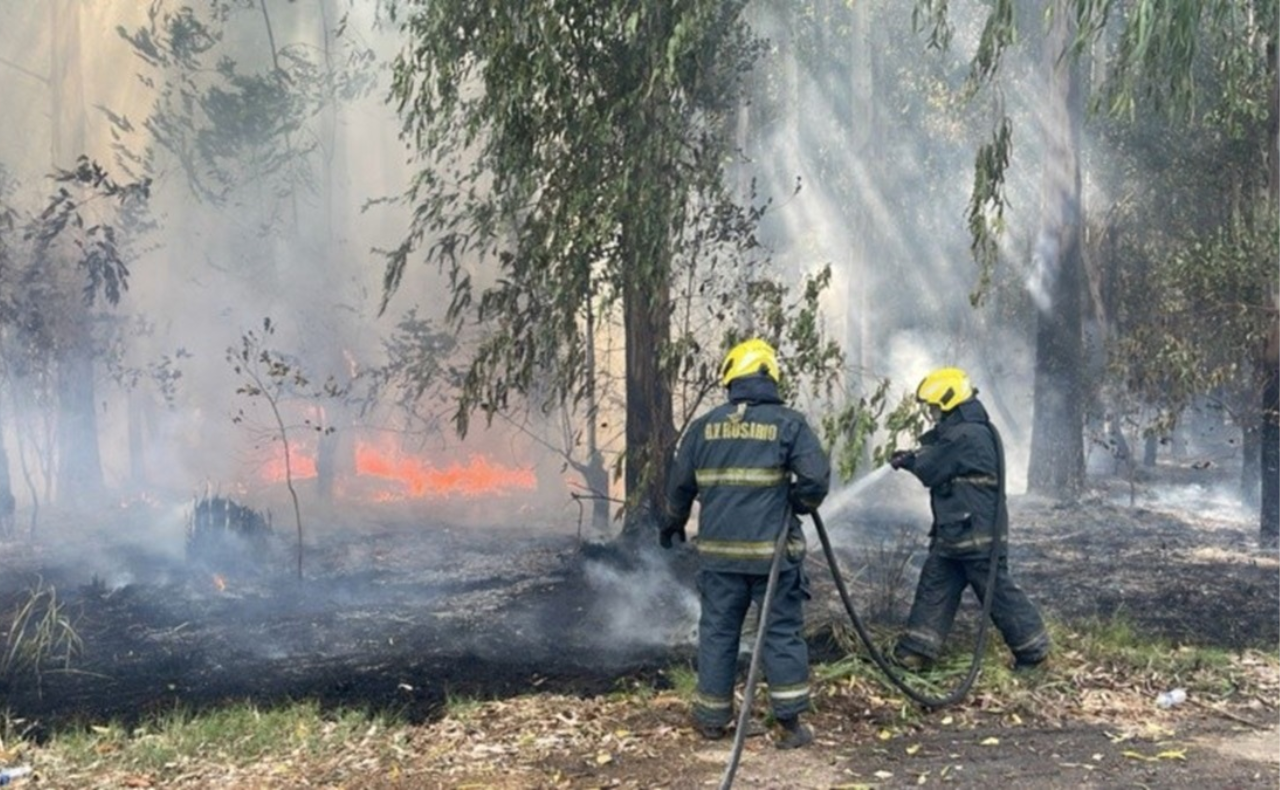 FOTO: Incendios forestales en Rosario y la región