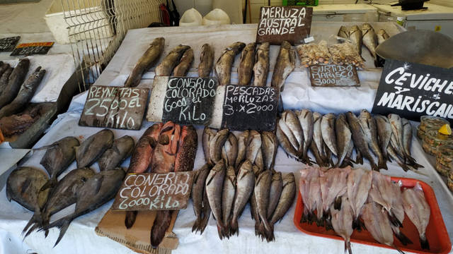 Caleta Portales, un rincón de pescadores y frutos de mar - Operativo Verano  2019 - Cadena 3 Argentina