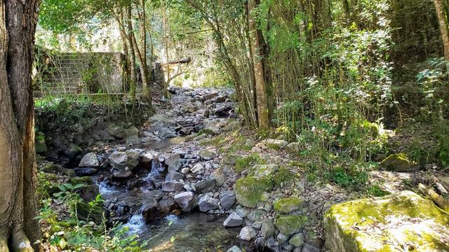 FOTO: San Lorenzo, un paraíso para más de 200 especies de aves