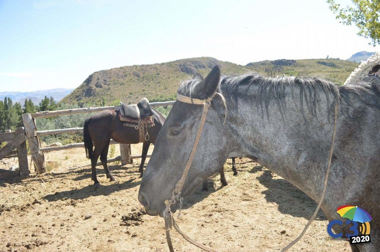 AUDIO: Cabalgata por el Cerro Leones, otra mirada de la Patagonia (por Marcela Psonkevich)