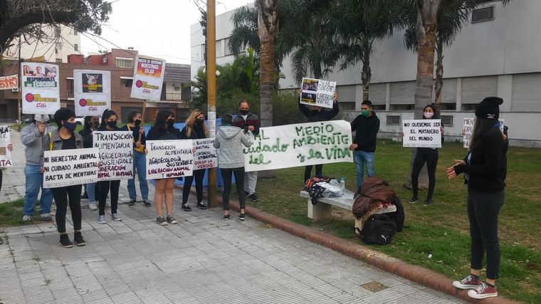 AUDIO: Ambientalistas se manifestaron por los derechos porcinos
