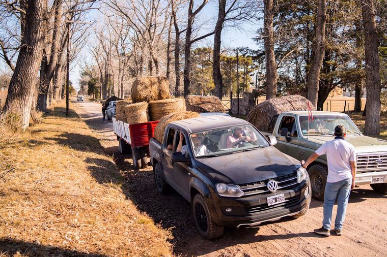 FOTO: Productores llevan comida a animales afectados por el fuego