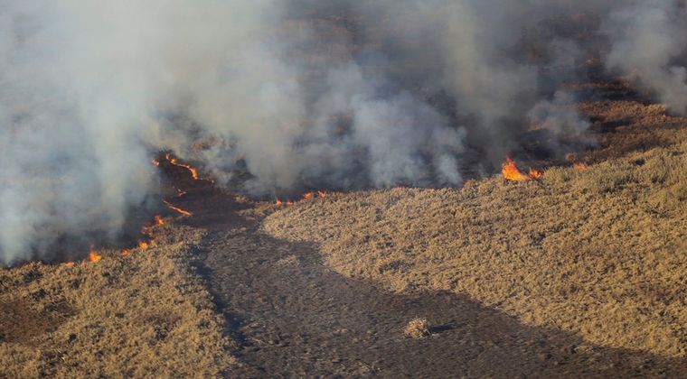 AUDIO: Incendio en el Delta del Paraná: se suman 60 brigadistas