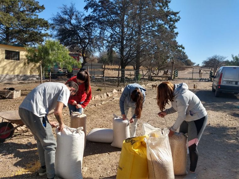 FOTO: Donan alimento para los animales víctima del fuego en las Sierras.