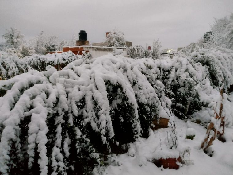 FOTO: Nieve en Mendiolaza.