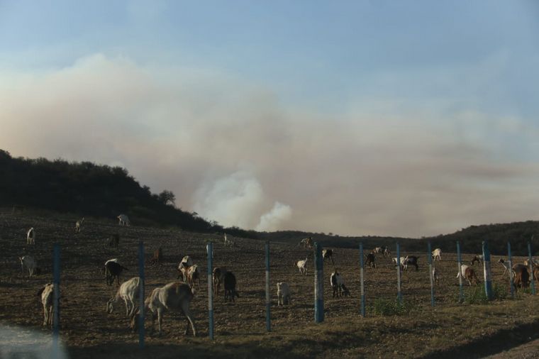 FOTO: Incendio en el norte cordobés