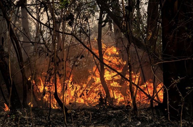 FOTO: Los incendios en Corrientes alcanzaron los Esteros del Iberá