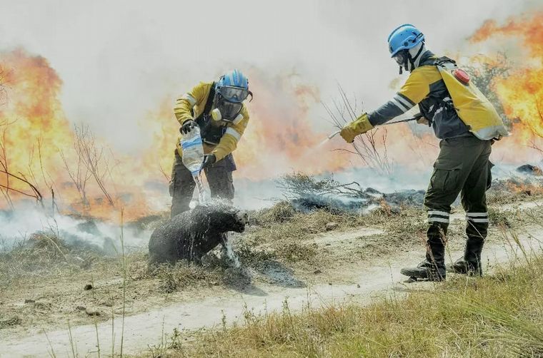 FOTO: Gentileza de Ismael Macia.