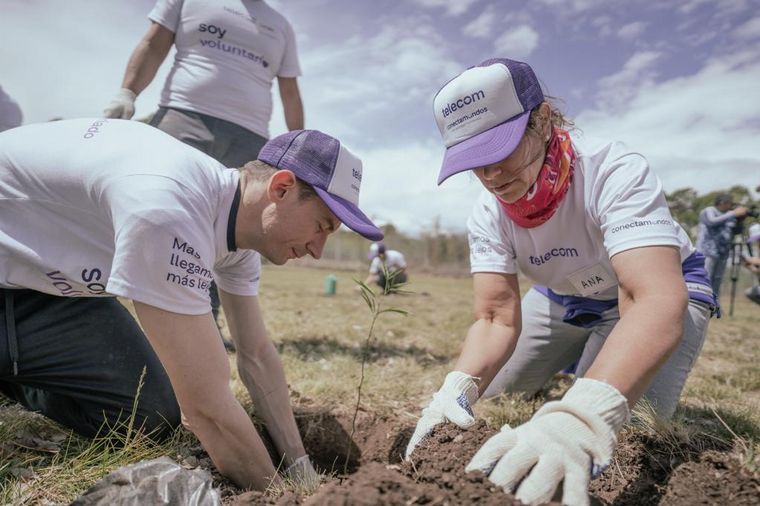 FOTO: Telecom se sumó a la campaña de reforestar Córdoba junto a Baum.