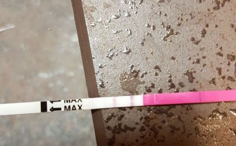 Encontró un test de embarazo positivo en una estación y lo publicó