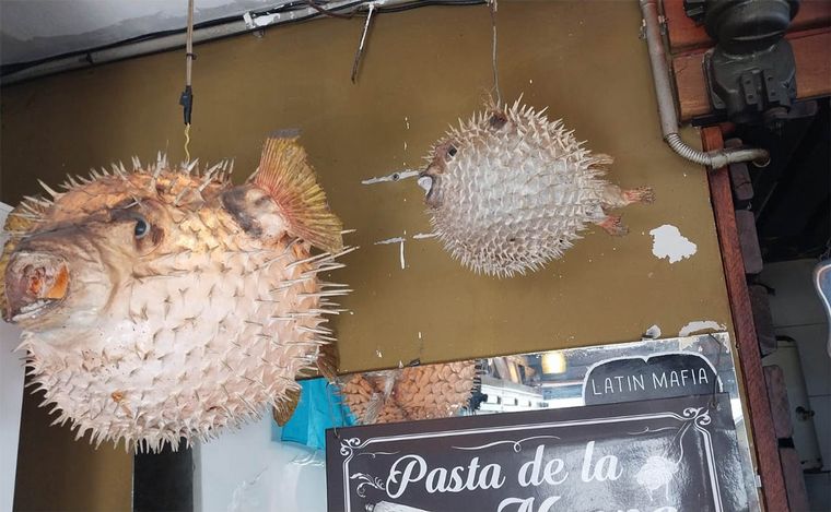 FOTO: Un restaurante de pescadores, con tradición familiar y dedicado a 