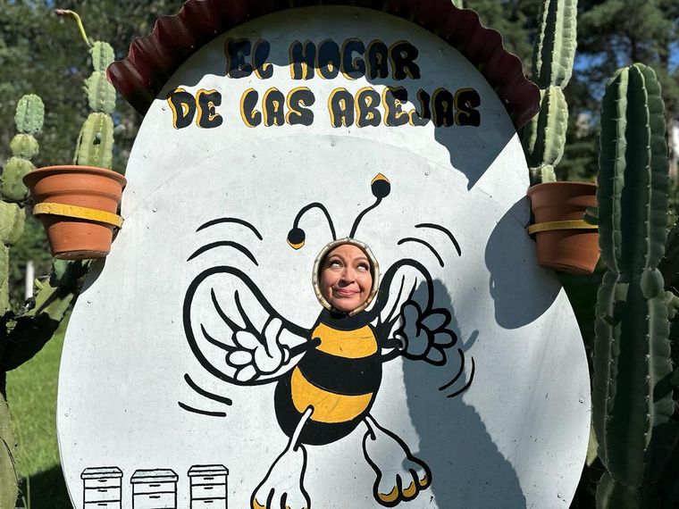 FOTO: El hogar de las abejas